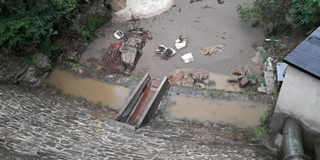 digapagnonapr.jpg (26 KB)