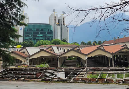 exleuci1prr.jpg (31 KB)