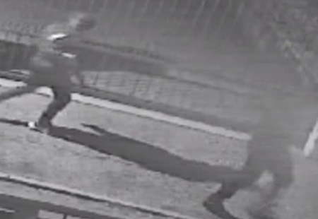 ladriippr.jpg (41 KB)