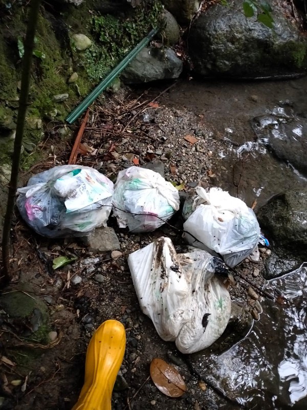 pattumebuliga1.jpg (167 KB)