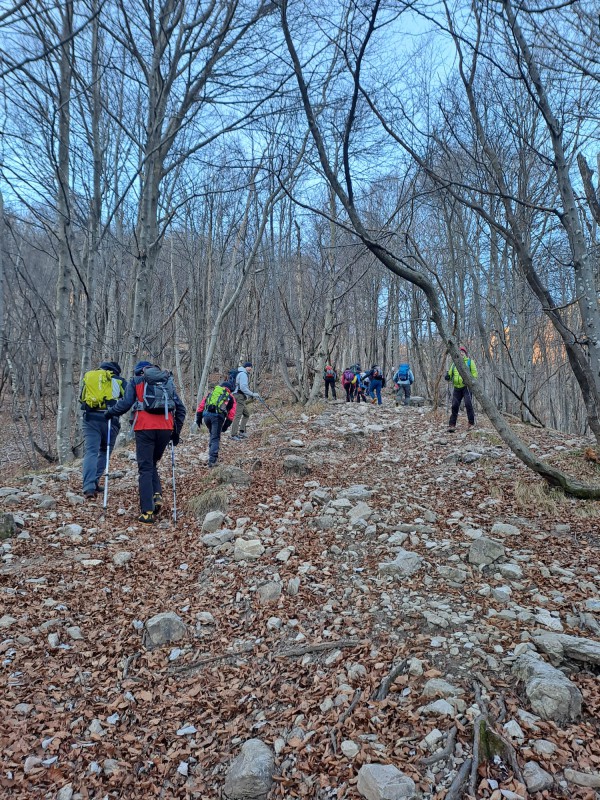 stradastortaresegone5.jpg (249 KB)