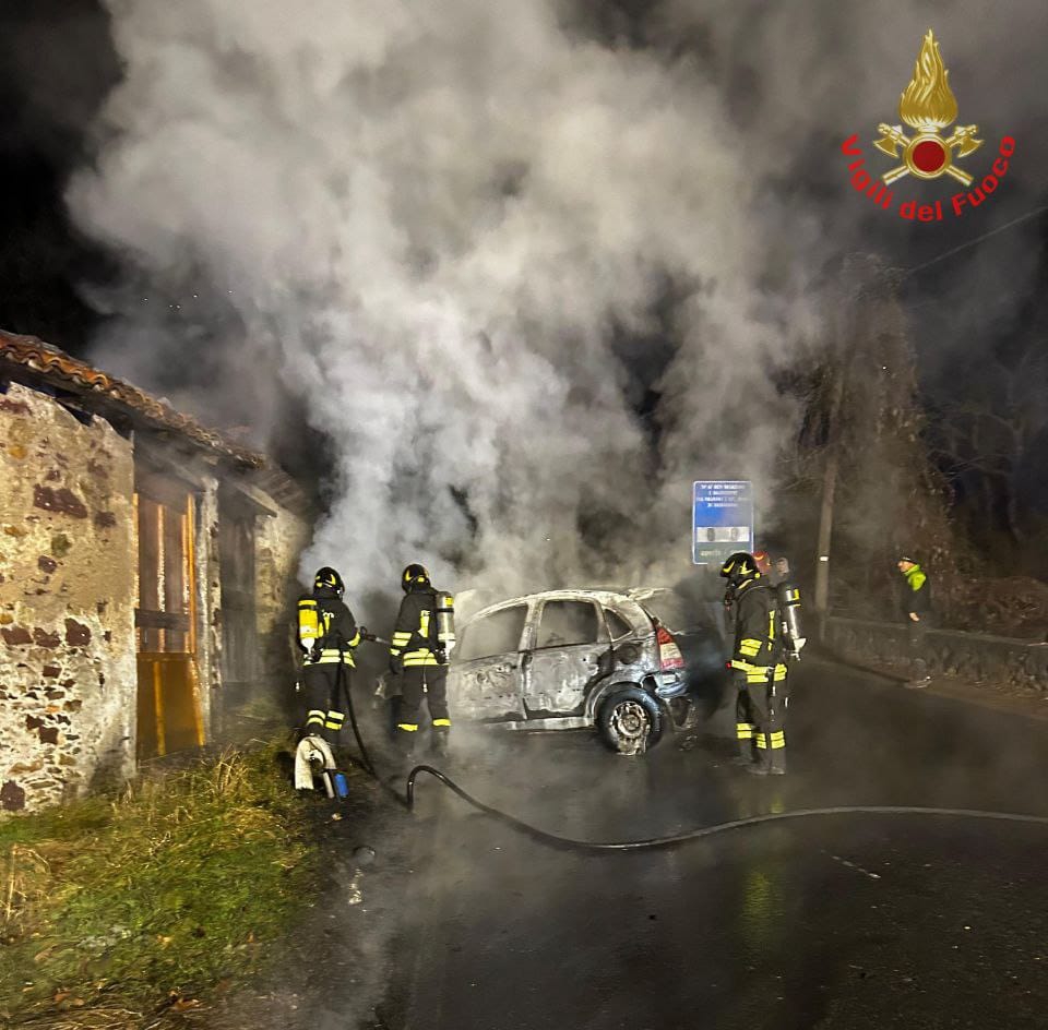 tacenorogo__2_.jpeg (251 KB)