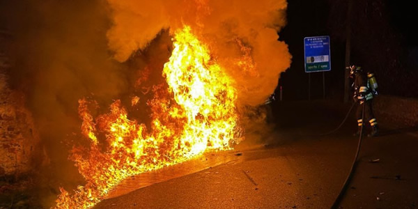 tacenorogopr.jpg (59 KB)