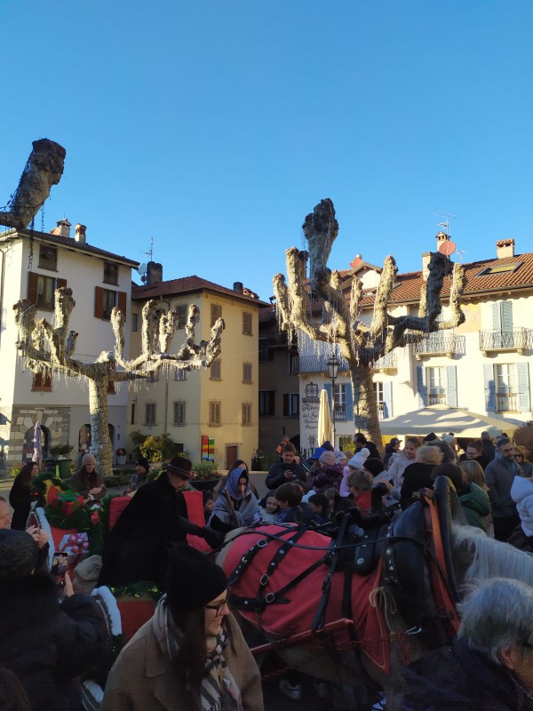 varennabefana4.jpeg (105 KB)