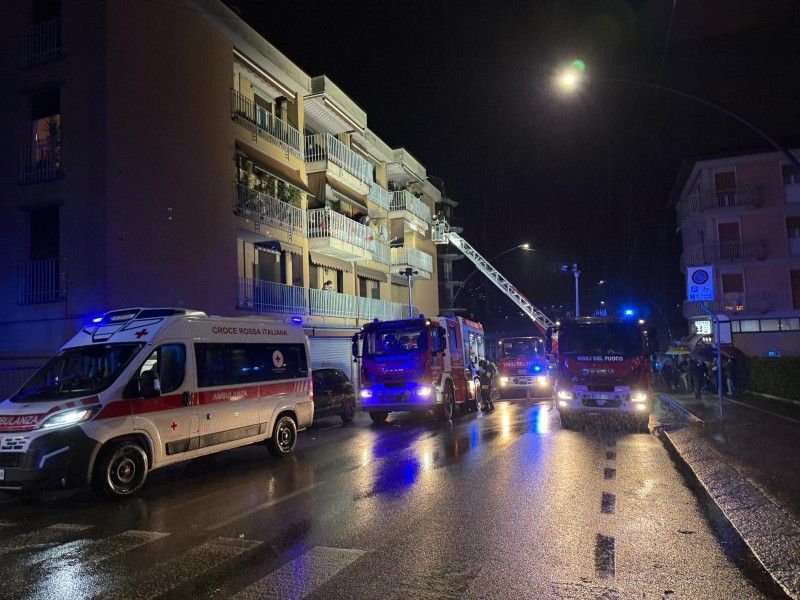 vialeadamelloincendio1.jpg (124 KB)