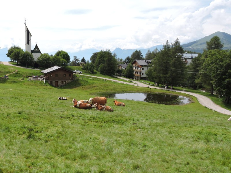 Margno_Pian_delle_Betulle.jpg (131 KB)