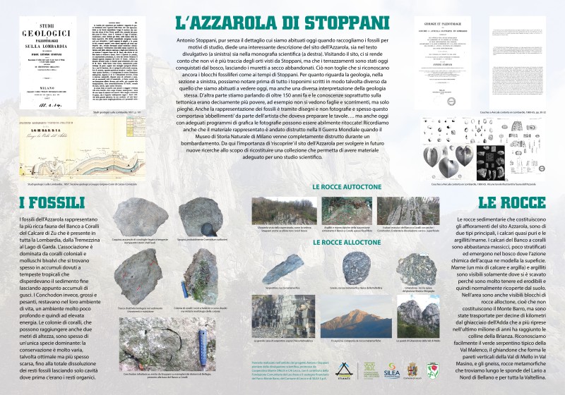 azzarola_di_Stoppani.jpg (154 KB)