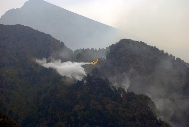 canadair31luglio.jpg (57 KB)