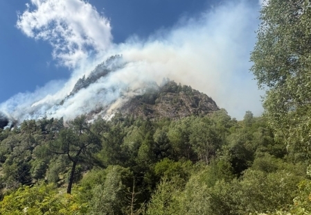 incendiocaprecolo1-1.jpg (111 KB)