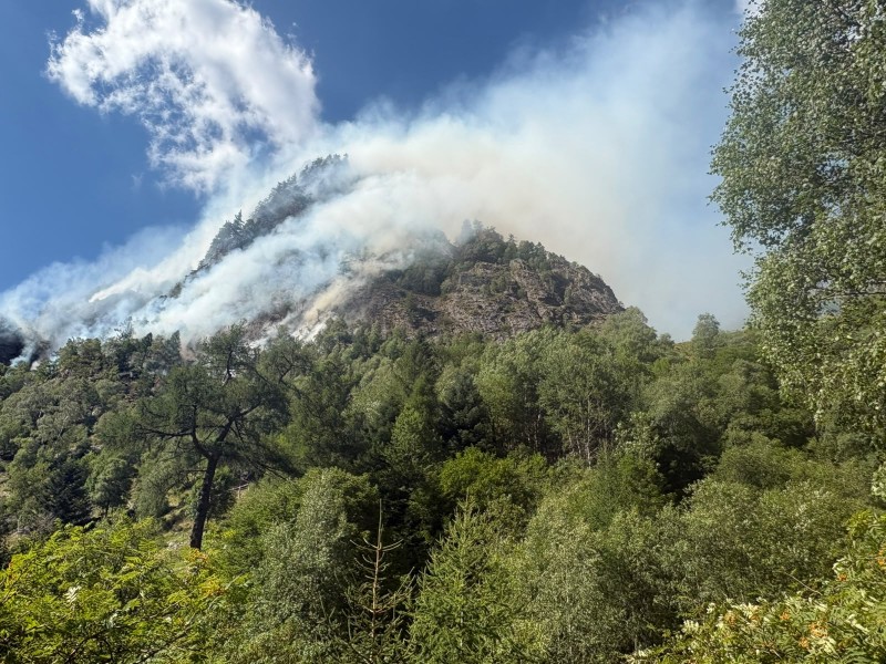 incendiocaprecolo1.jpg (170 KB)