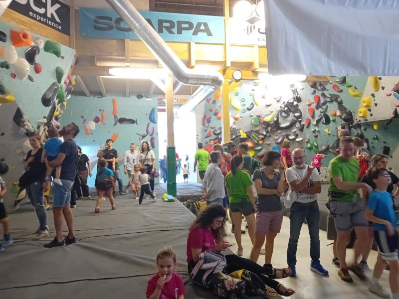 3-arrampicara.jpg (123 KB)