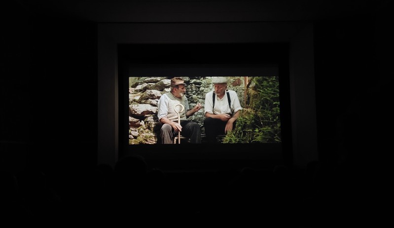Film.jpg (63 KB)