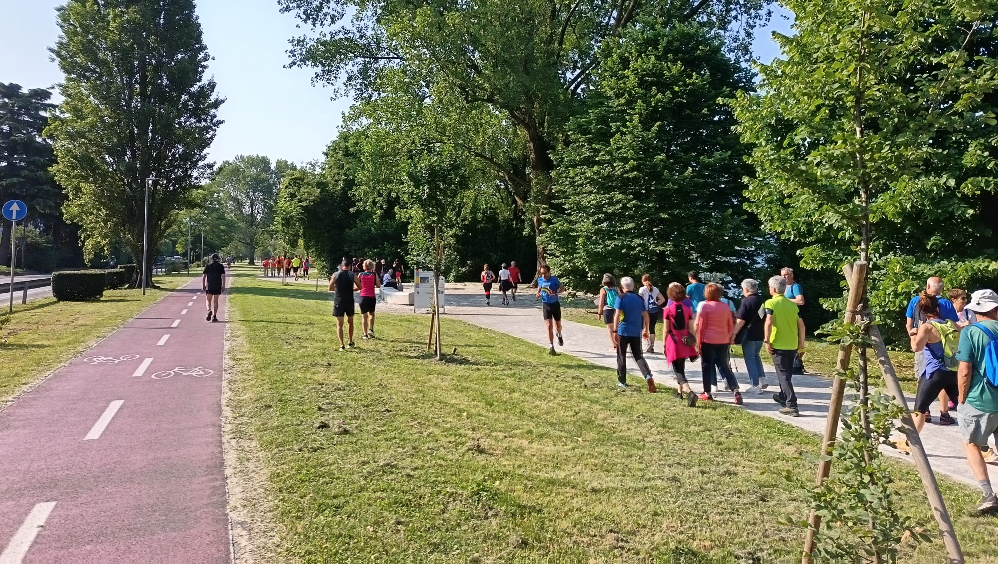camminatasalute3.jpg (1.77 MB)