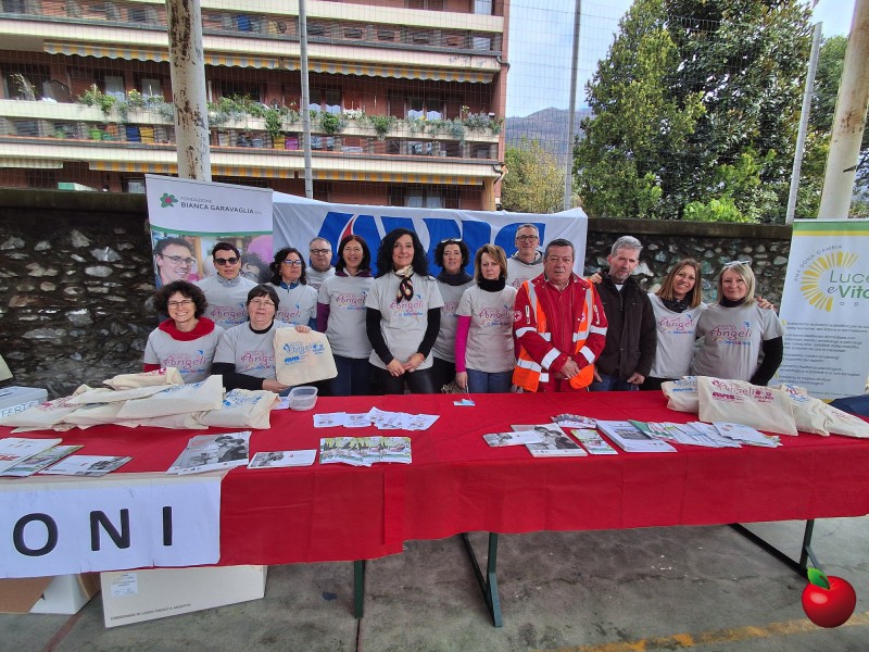 Cammina_con_gli_angeli2.jpg (167 KB)