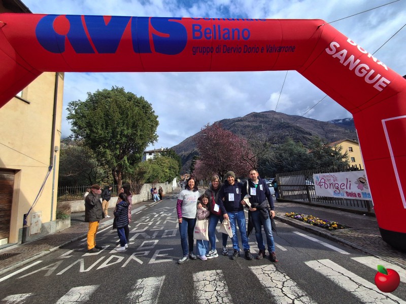 Cammina_con_gli_angeli5.jpg (153 KB)