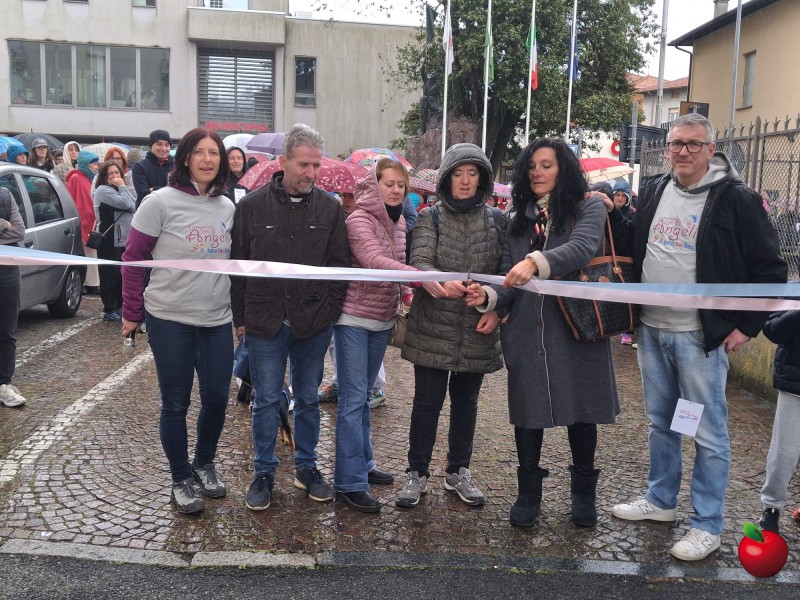 Cammina_con_gli_angeli8.jpg (171 KB)