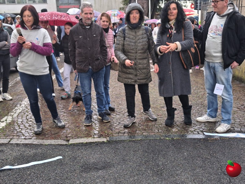 Cammina_con_gli_angeli9.jpg (180 KB)