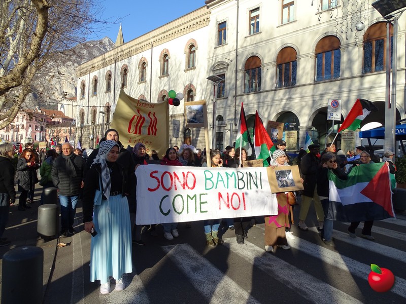 attivistapalestina__6_.jpg (214 KB)