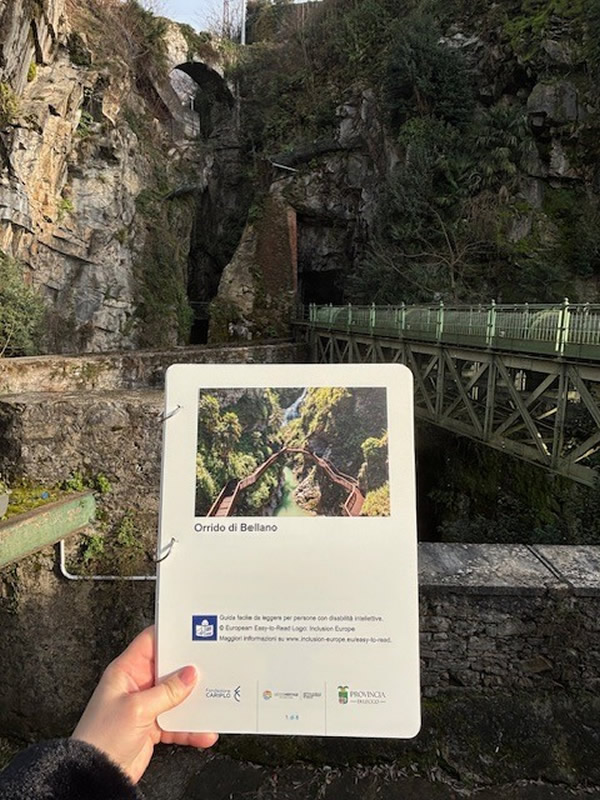 bellanoinclusione__1_.jpg (165 KB)