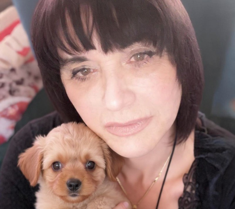 Lecco non può vivere di proroghe: la convenzione con Erba riaccende sul canile