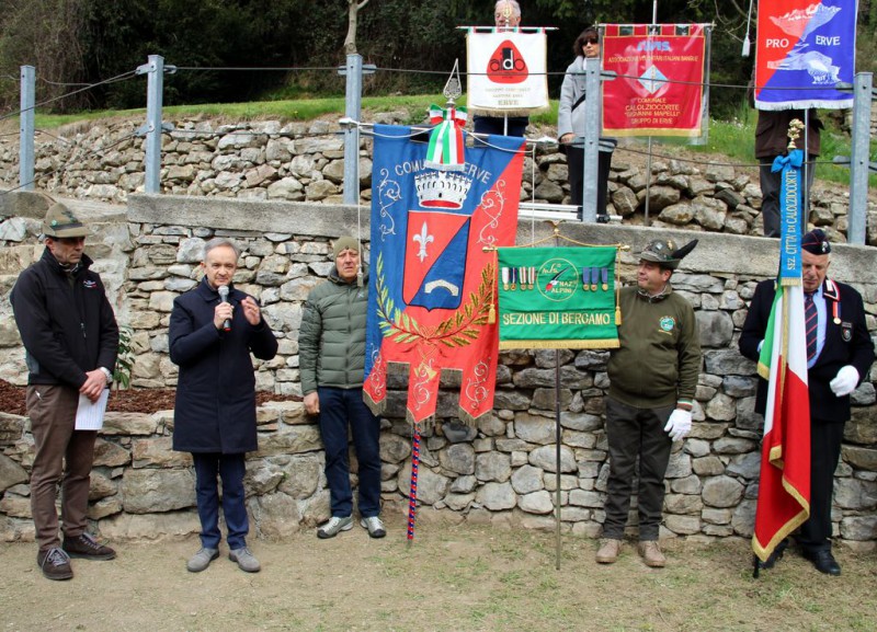 ervetalea1.JPG (171 KB)