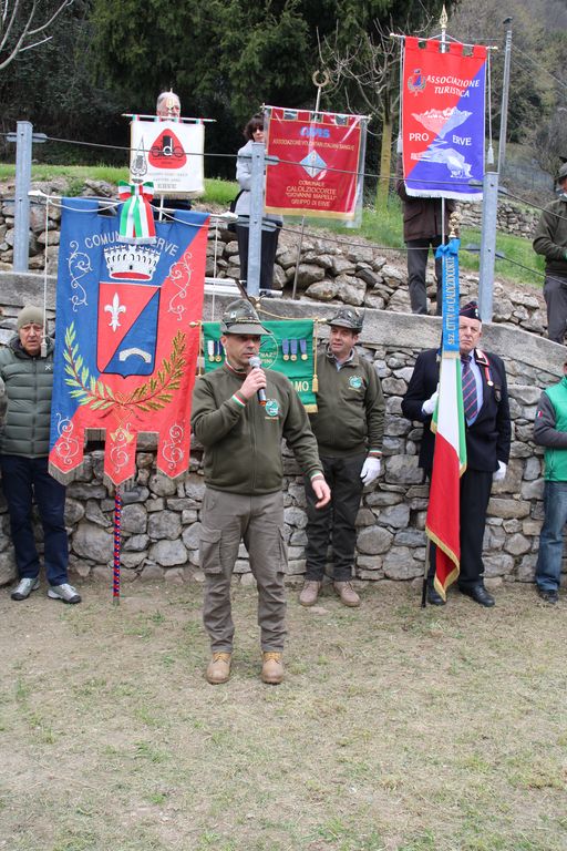 ervetalea12.JPG (145 KB)