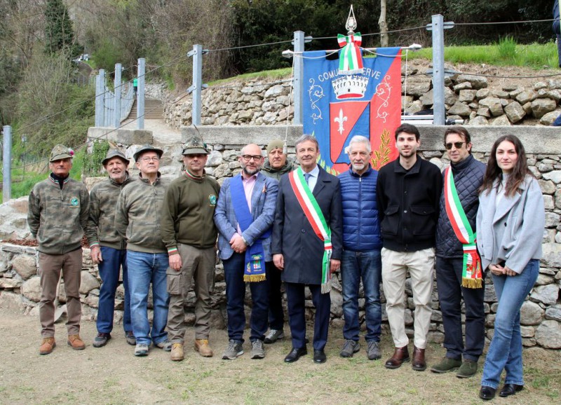 ervetalea13.JPG (169 KB)