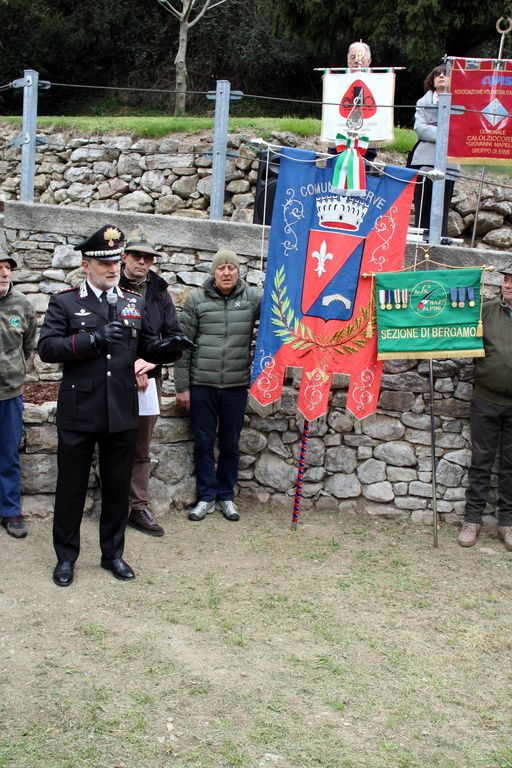 ervetalea5.JPG (133 KB)