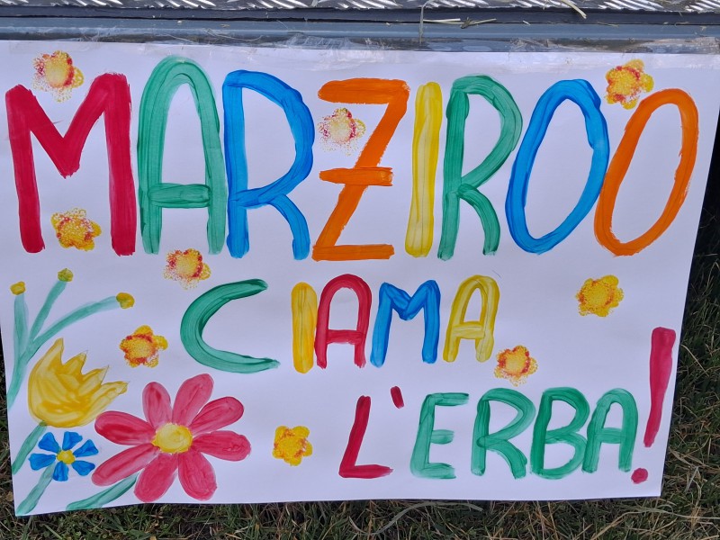 marizoo__10_.jpg (134 KB)