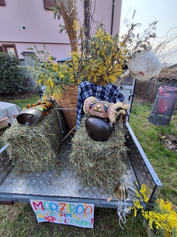 marizoo__11_.jpg (217 KB)