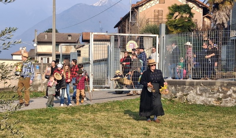 marizoo__1_.jpg (261 KB)