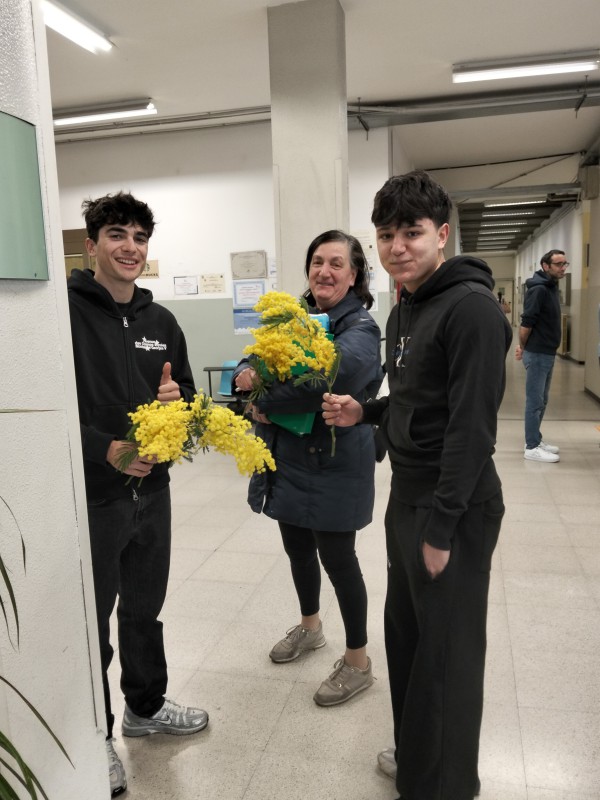 mimosaparini4.jpg (95 KB)