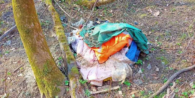 rogenobivaccopr.jpeg (284 KB)