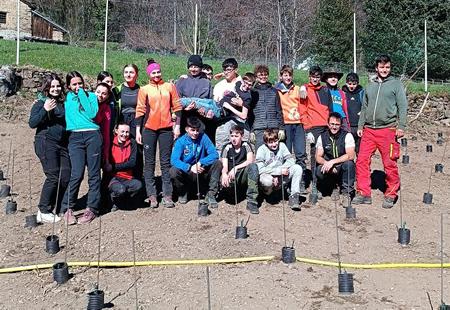 vignetopr.jpg (194 KB)