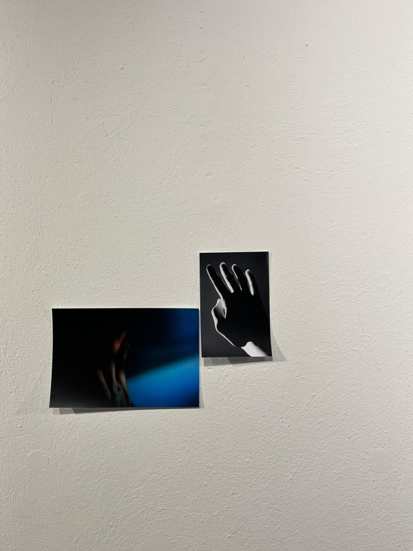 Mostra_AloneTogheter__1_.jpeg (90 KB)