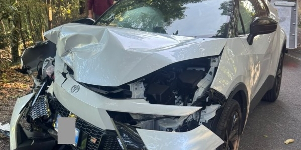 cremellaincidente1-pr.jpg (134 KB)