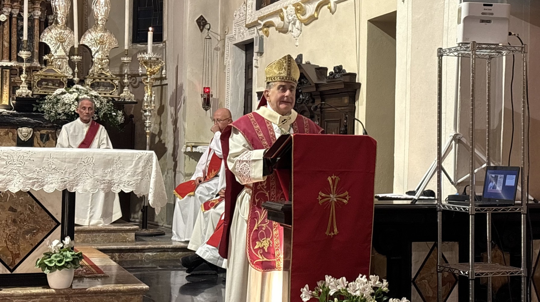 delpinidervio__11_.JPG (823 KB)