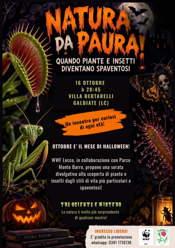 naturapaura.jpeg (139 KB)