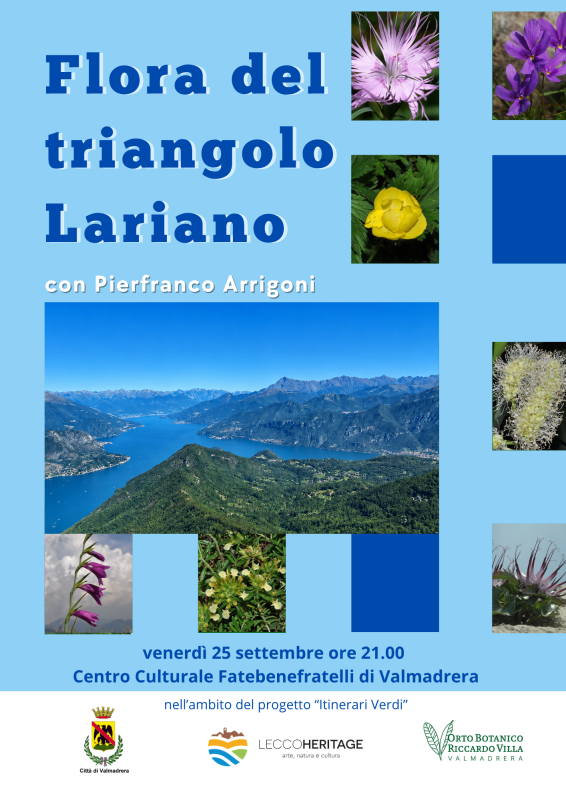 Copia_di_flora_del_triangolo_lariano__4_.png (384 KB)