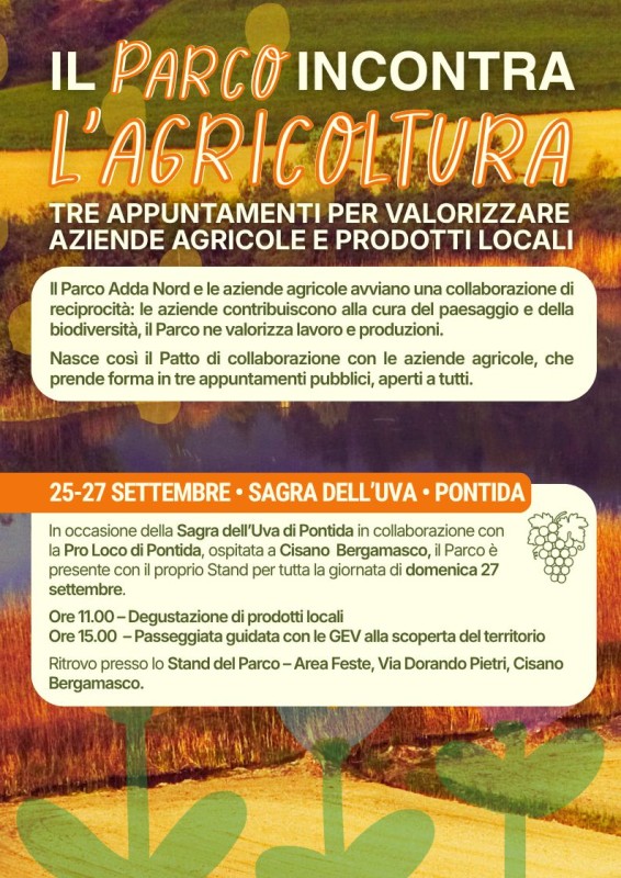 ParcoAddaNord_agricoltura__1_.jpg (152 KB)