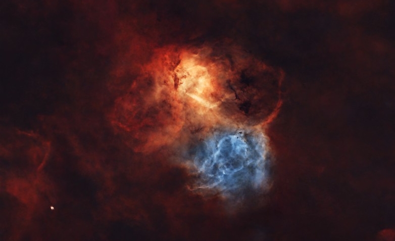 Un leone è uno squalo nel cielo
