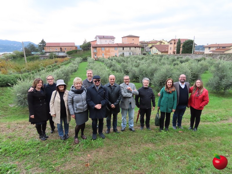 olivetocasadelcieco_16.jpg (178 KB)