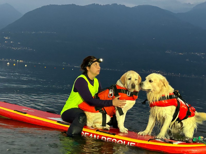caninotte__4_.jpeg (108 KB)
