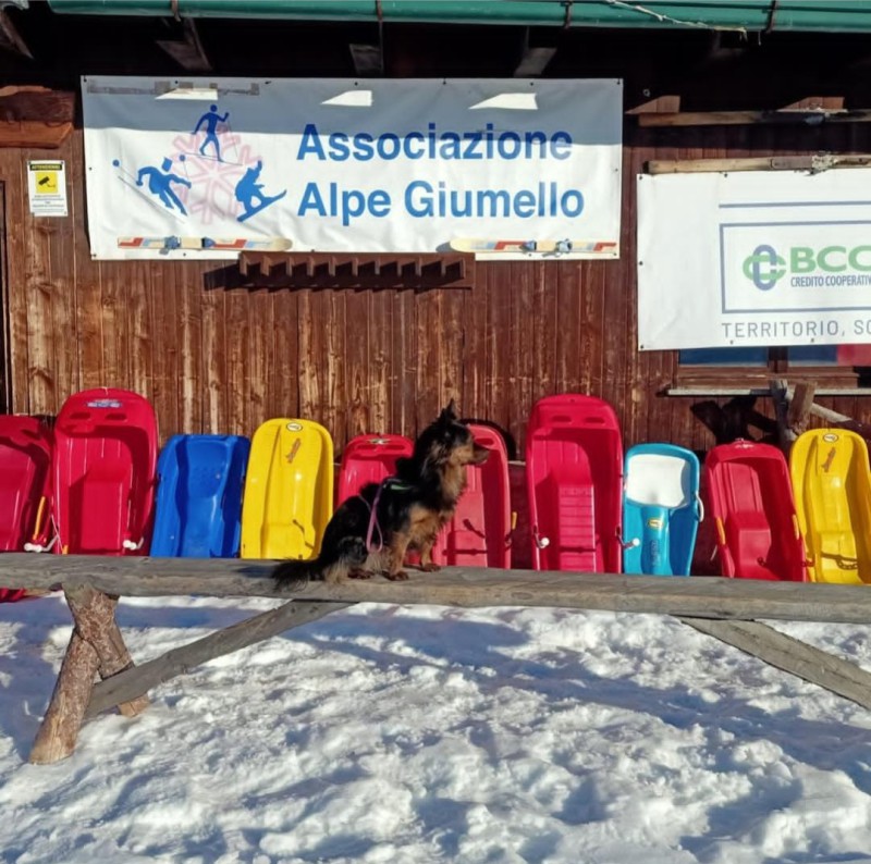 Associazione_Alpe_Giumello.jpg (153 KB)