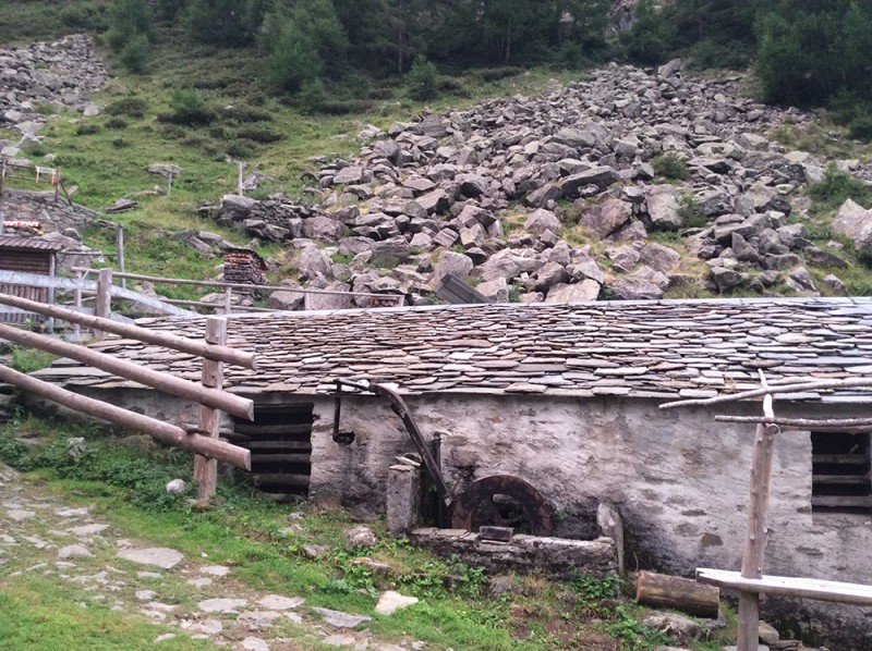 cascina_e_caravine_2.jpg (185 KB)