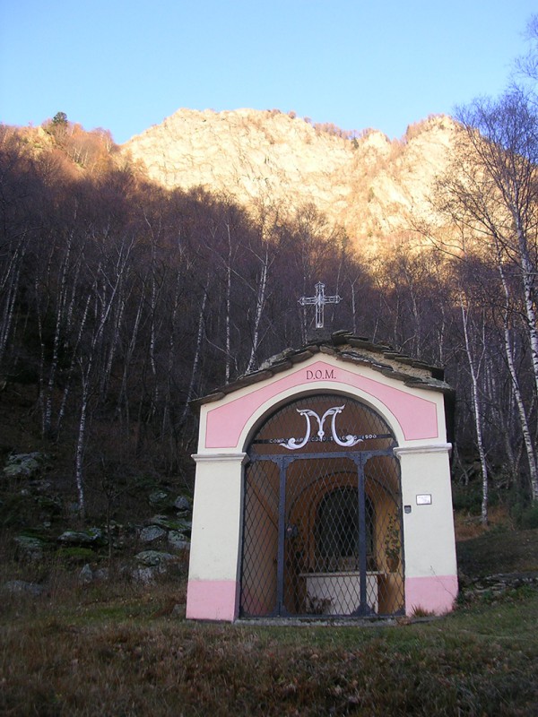 Sasorc_1.jpg (132 KB)