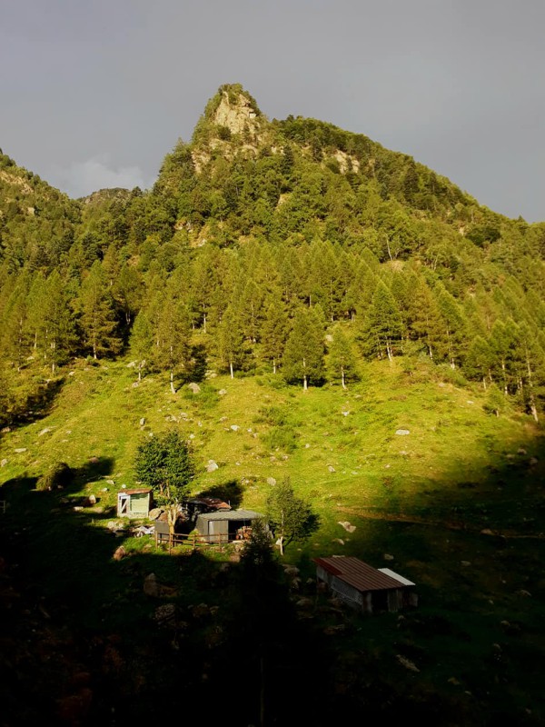 Sasso.jpg (126 KB)