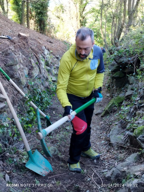 assessore cattaneo al lavoro.