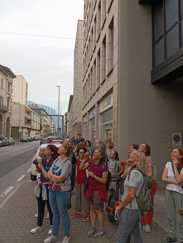 11 in osservazione  rondoni corso martiri