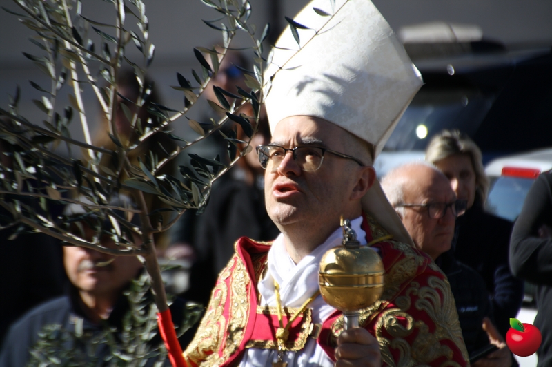 domenicapalmelecco__32_.jpg (312 KB)